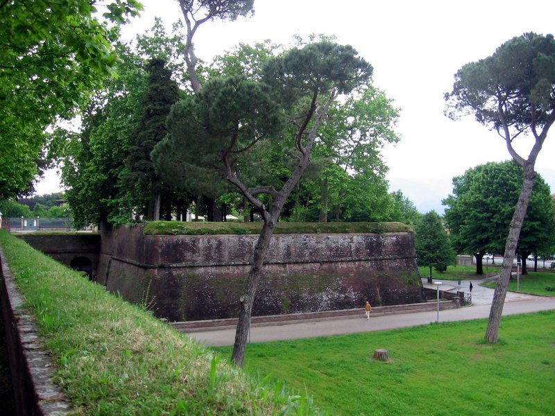Click to see next picture