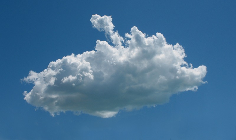 Click to see next picture