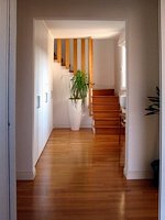 Click to see big picture (495x660 pixels; 61 KB)
