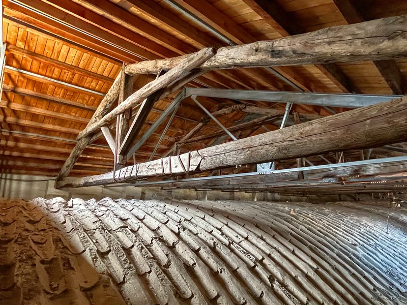 Click to see next picture