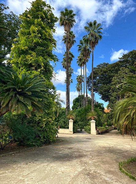 Click to see next picture