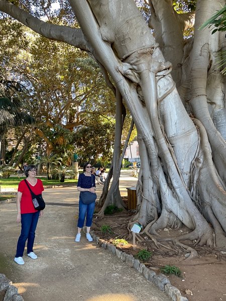 Click to see next picture