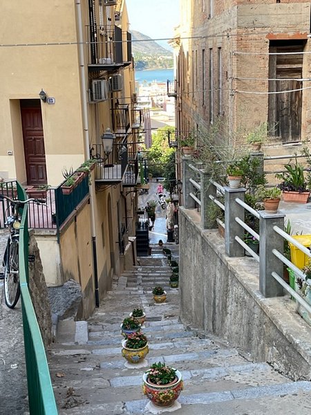 Click to see next picture