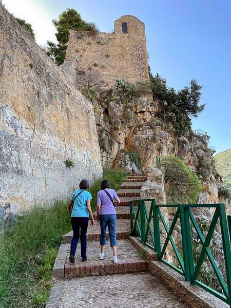 Click to see next picture