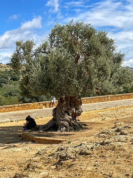 Click to see next picture