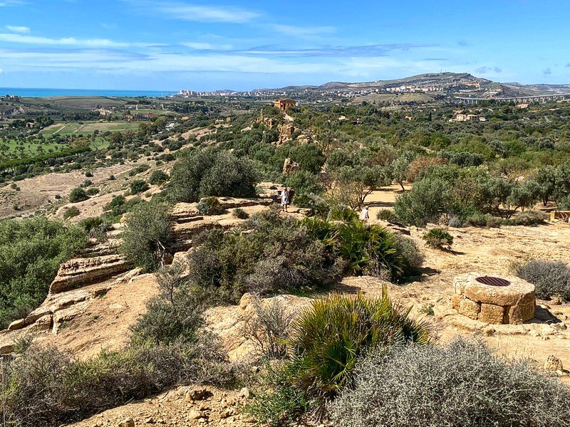 Click to see next picture