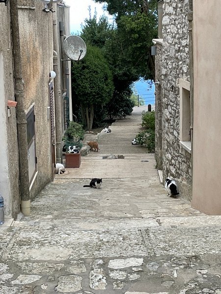 Click to see next picture