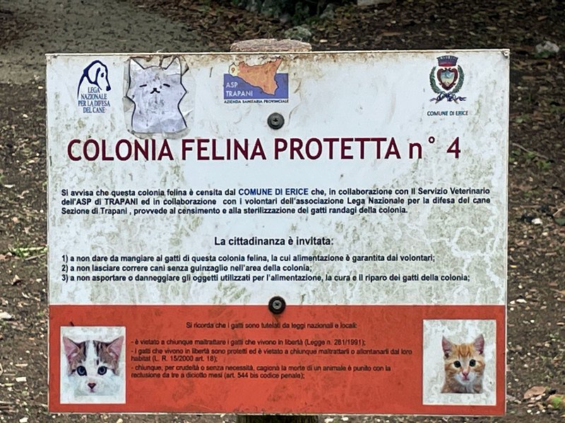 Click to see next picture