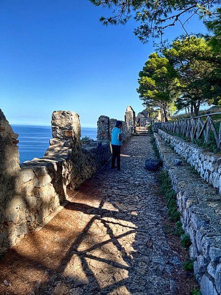 Click to see next picture