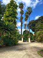 Click to see big picture (442x600 pixels; 113 KB)