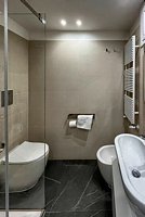 Click to see big picture (401x600 pixels; 48 KB)