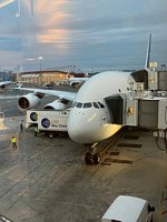 Click to see big picture (450x600 pixels; 66 KB)