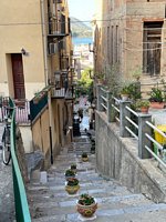 Click to see big picture (450x600 pixels; 94 KB)