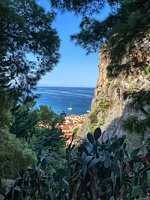 Click to see big picture (450x600 pixels; 114 KB)