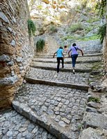 Click to see big picture (461x600 pixels; 133 KB)