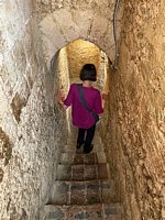 Click to see big picture (450x600 pixels; 129 KB)