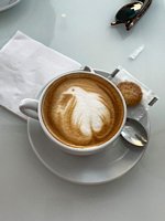 Click to see big picture (450x600 pixels; 38 KB)