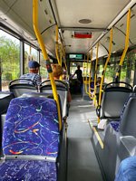 Click to see big picture (450x600 pixels; 87 KB)