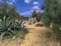 Click to see big picture (800x600 pixels; 163 KB)