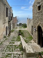 Click to see big picture (450x600 pixels; 103 KB)