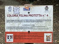 Click to see big picture (800x600 pixels; 178 KB)